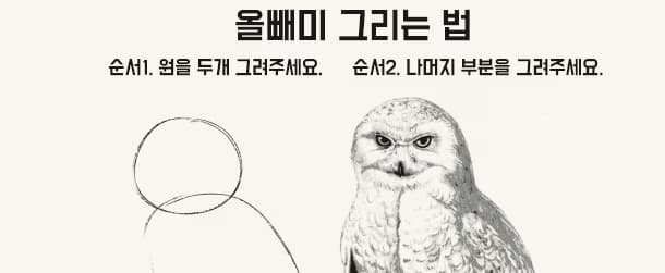 ReactMarkdown으로 AI SDK 메세지 꾸미기