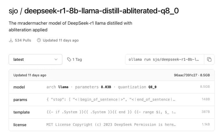Deepseek R1 설치 및 웹 서비스 구현하기-5