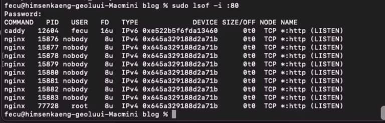 nginx에서 caddy로 마이그레이션 하기-4