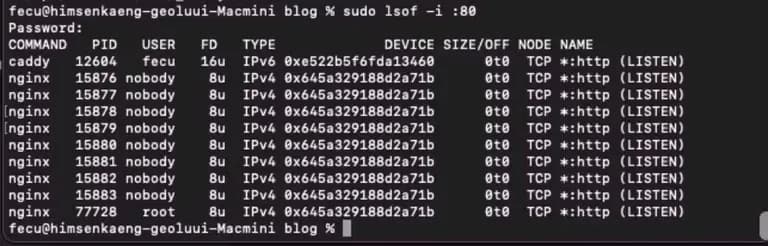 nginx에서 caddy로 마이그레이션 하기-4