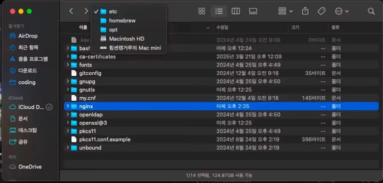 nginx에서 caddy로 마이그레이션 하기-3