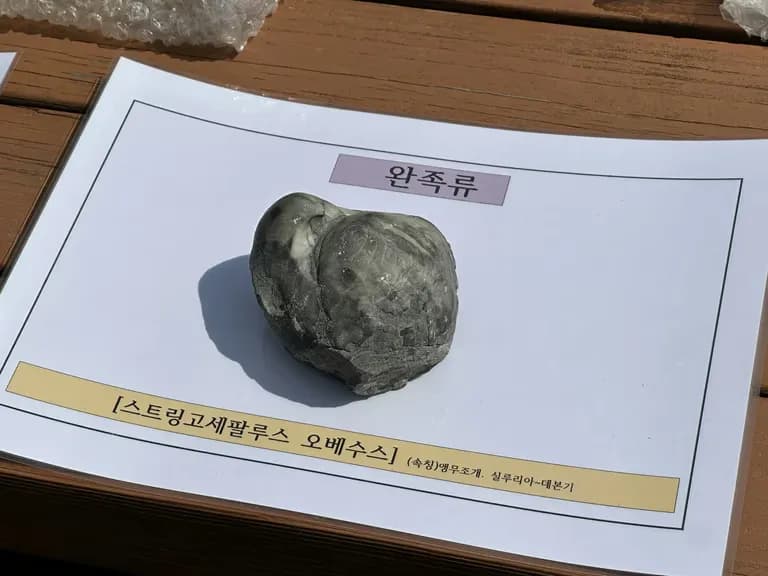 화성 공룡알 화석산지, 화성국가지질공원 탐방 후기-3