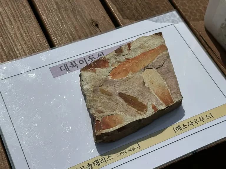 화성 공룡알 화석산지, 화성국가지질공원 탐방 후기-4