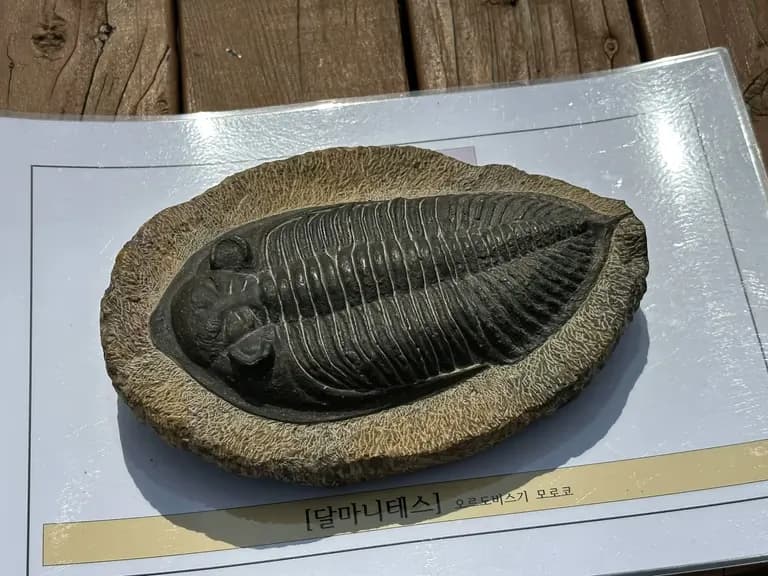 화성 공룡알 화석산지, 화성국가지질공원 탐방 후기-5