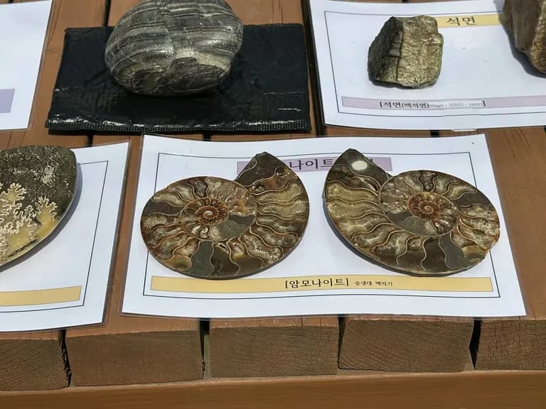 화성 공룡알 화석산지, 화성국가지질공원 탐방 후기-6