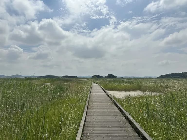 화성 공룡알 화석산지, 화성국가지질공원 탐방 후기-2