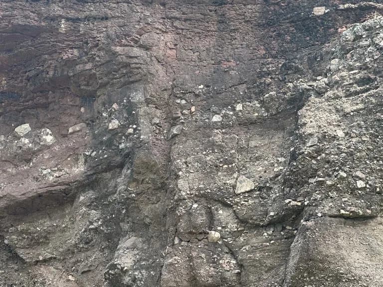 화성 공룡알 화석산지, 화성국가지질공원 탐방 후기-11