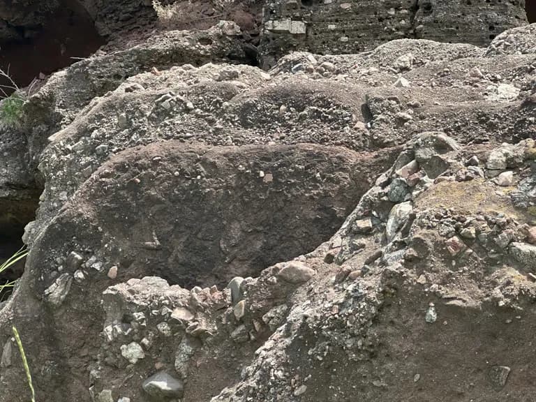 화성 공룡알 화석산지, 화성국가지질공원 탐방 후기-12