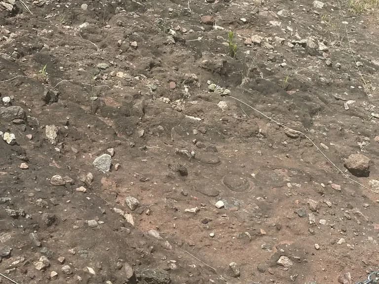 화성 공룡알 화석산지, 화성국가지질공원 탐방 후기-16