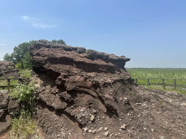 화성 공룡알 화석산지, 화성국가지질공원 탐방 후기-17