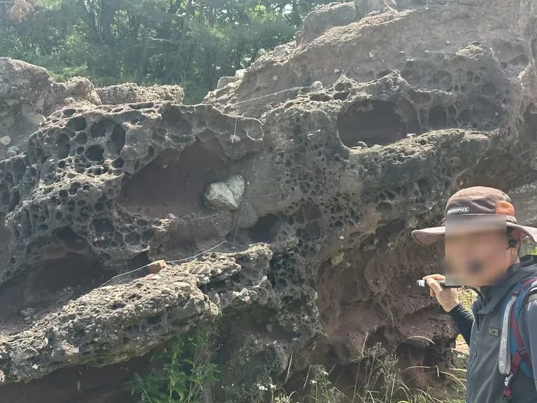 화성 공룡알 화석산지, 화성국가지질공원 탐방 후기-18