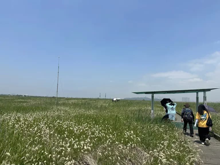 화성 공룡알 화석산지, 화성국가지질공원 탐방 후기-19