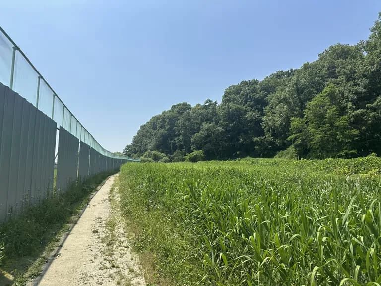 화성 공룡알 화석산지, 화성국가지질공원 탐방 후기-21