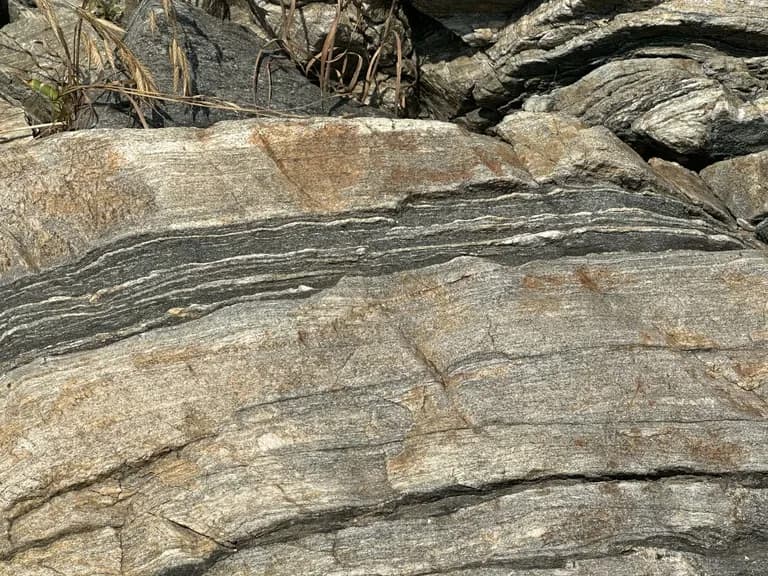 화성 공룡알 화석산지, 화성국가지질공원 탐방 후기-26