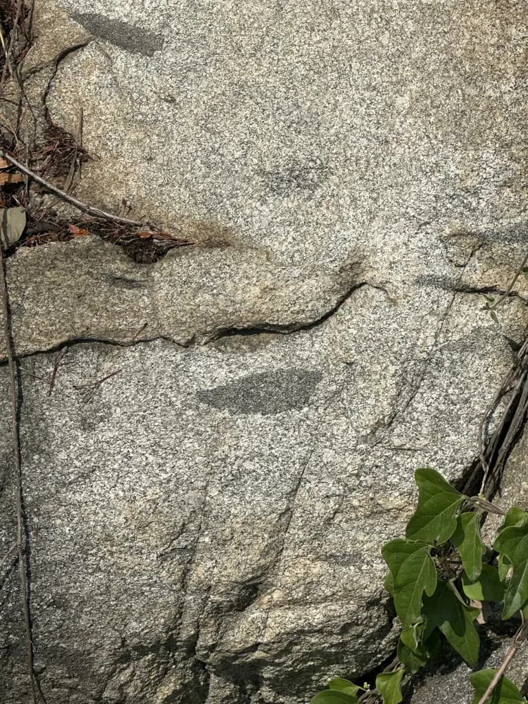 화성 공룡알 화석산지, 화성국가지질공원 탐방 후기-29