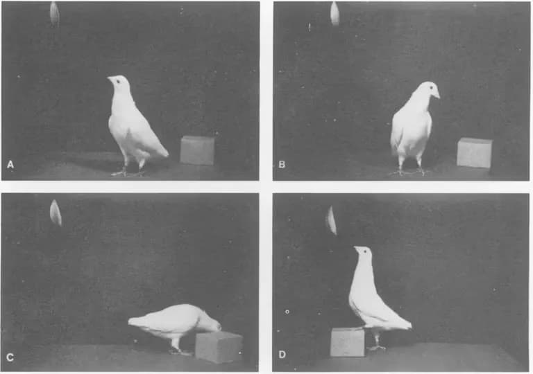 에드센스 무한 검토 탈출하는 법-12