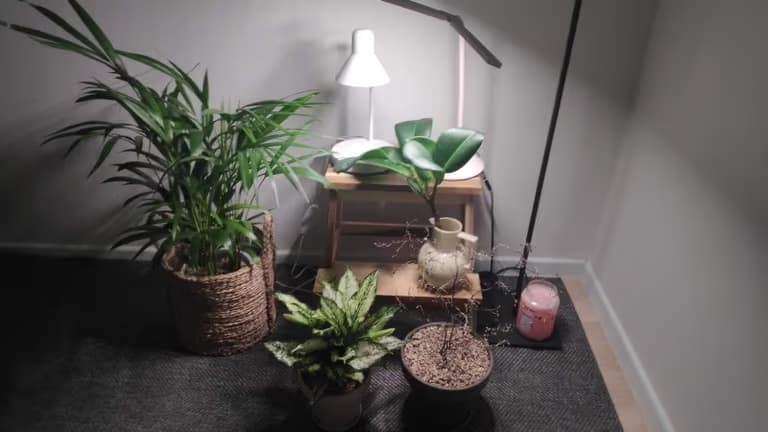 업로드된 이미지