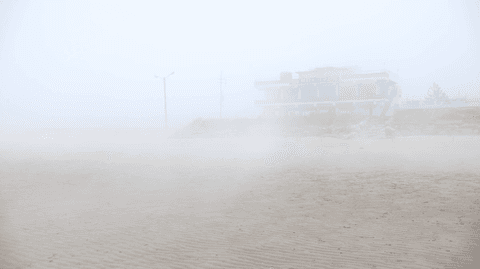 한국의 사막, 그리고 해무 - 신두리 해안사구