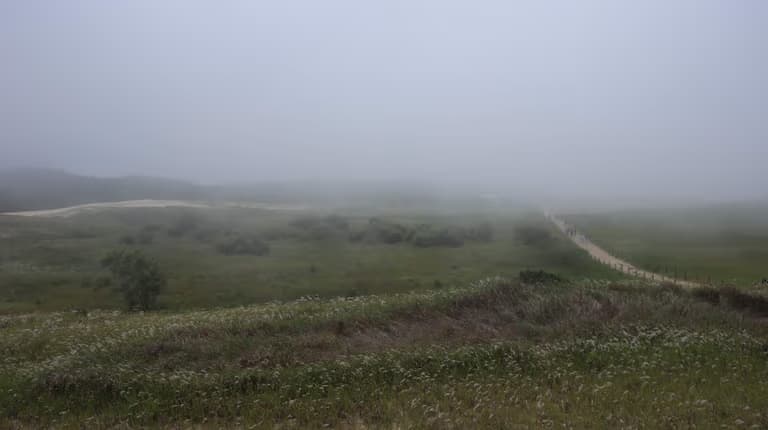 한국의 사막, 그리고 해무 - 신두리 해안사구-9