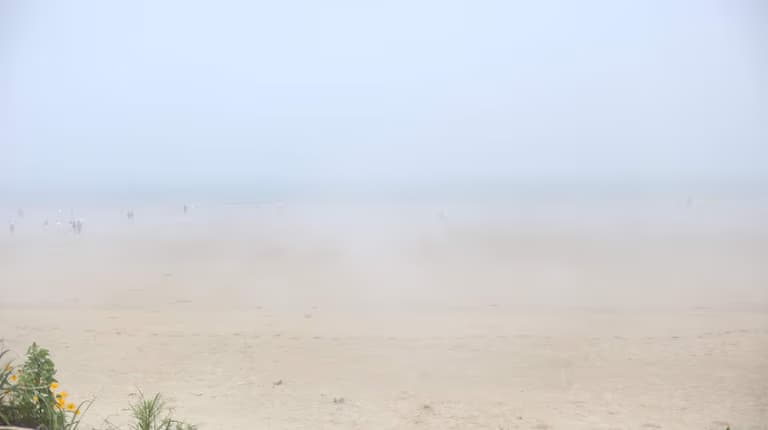 한국의 사막, 그리고 해무 - 신두리 해안사구-2