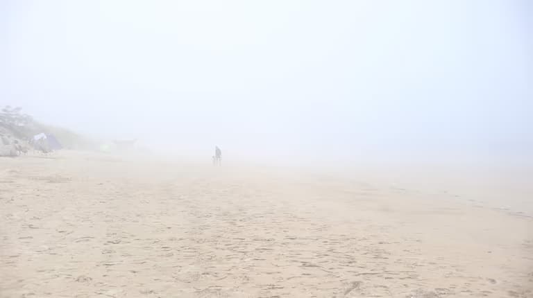 한국의 사막, 그리고 해무 - 신두리 해안사구-3