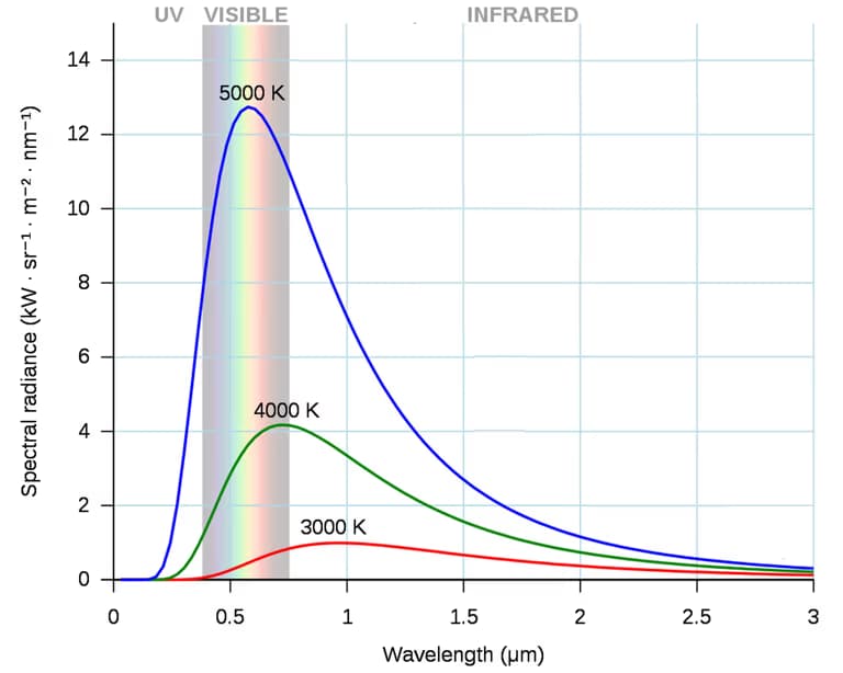 업로드된 이미지