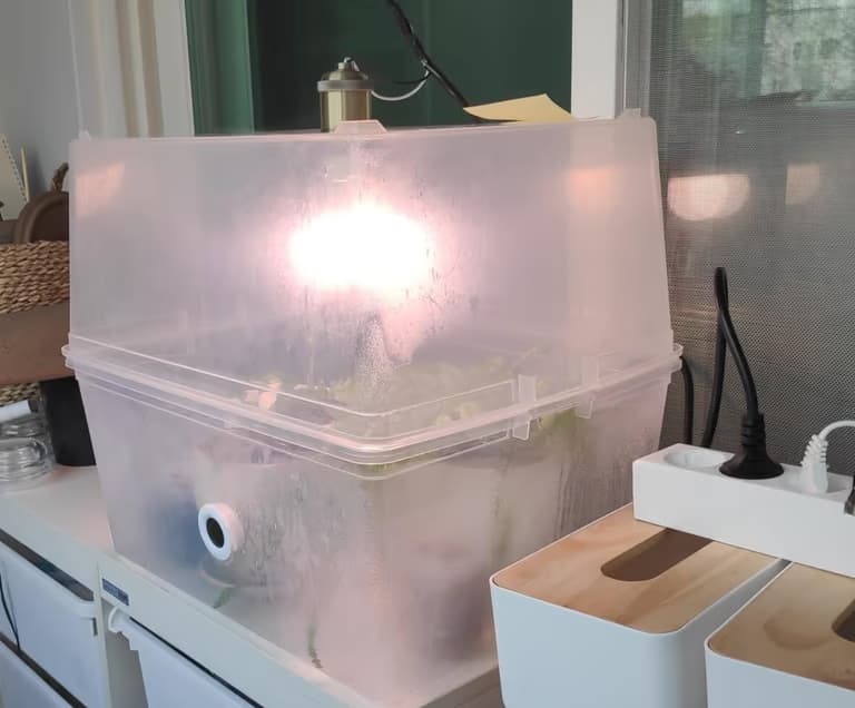 다이소 리빙박스로 온실 만들기