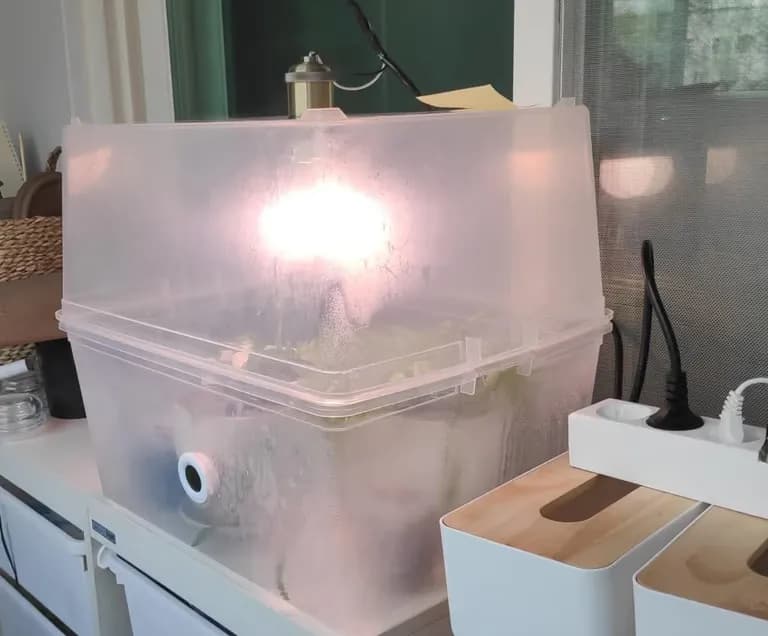 다이소 리빙박스로 온실 만들기-4