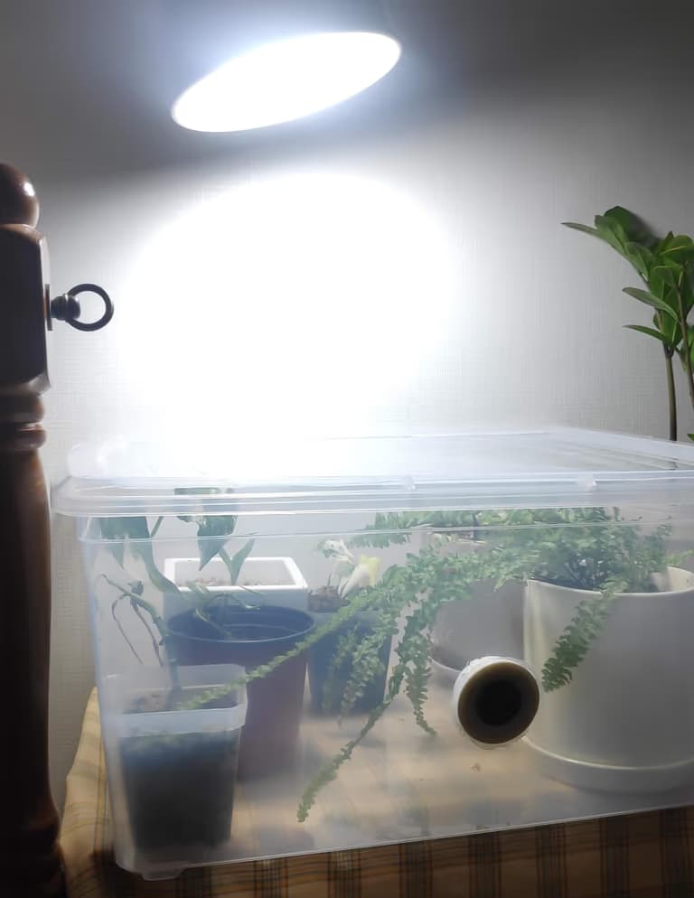 다이소 리빙박스로 온실 만들기-2