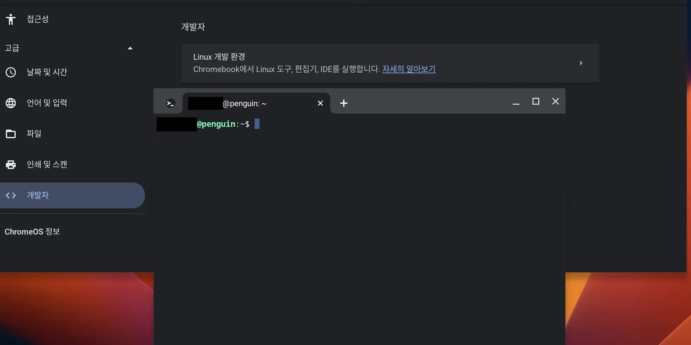 학교 크롬북에 파이썬 개발환경 만들기-8