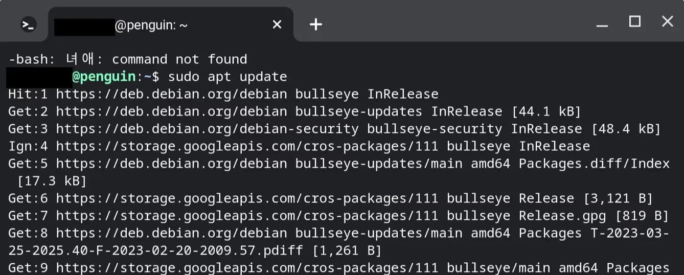 학교 크롬북에 파이썬 개발환경 만들기-9