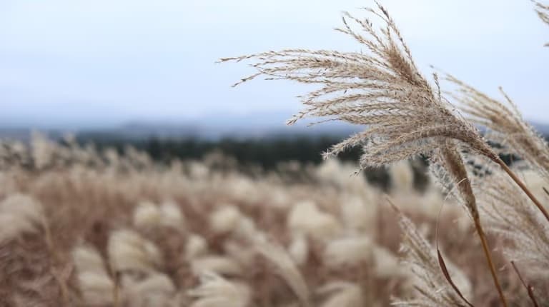 제주도 동쪽 오름 추천-1