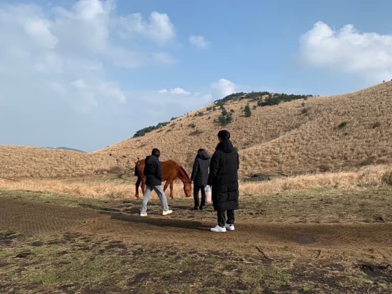 제주도 동쪽 오름 추천