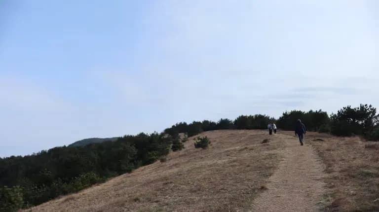 제주도 동쪽 오름 추천-13