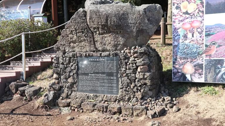 제주도 동쪽 오름 추천-16