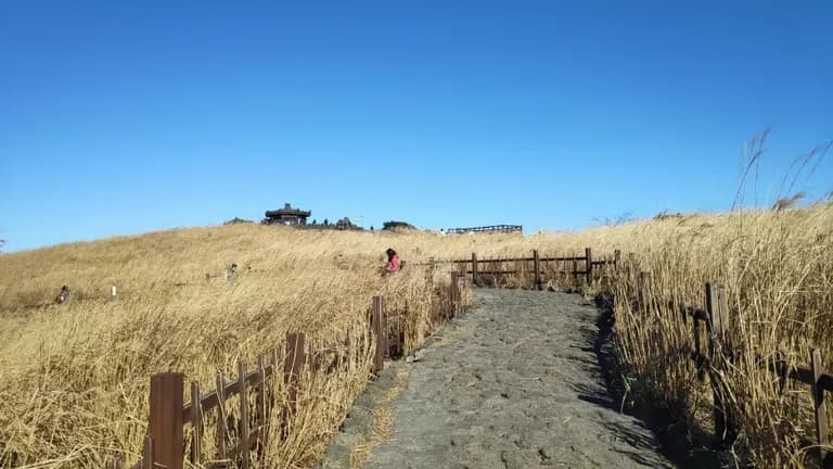 제주도 동쪽 오름 추천-3