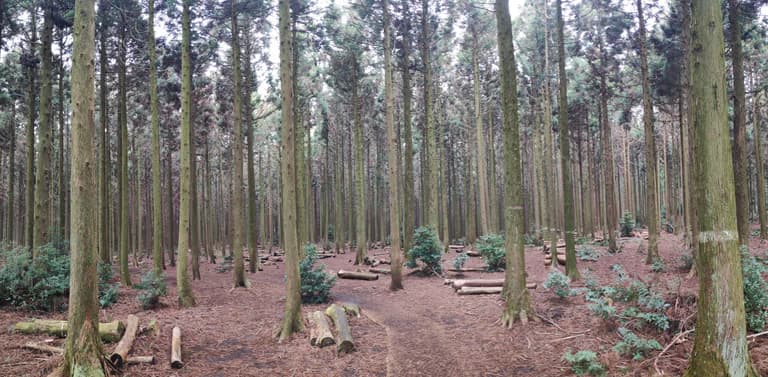 제주도 동쪽 오름 추천-21