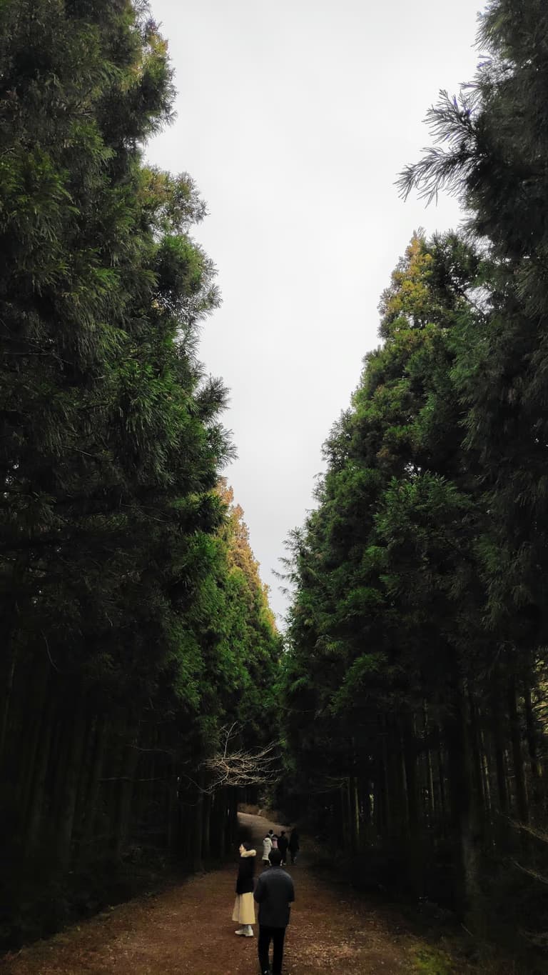 제주도 동쪽 오름 추천-22