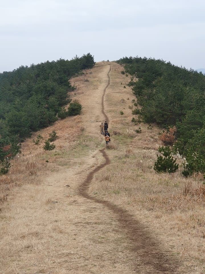 제주도 동쪽 오름 추천-6