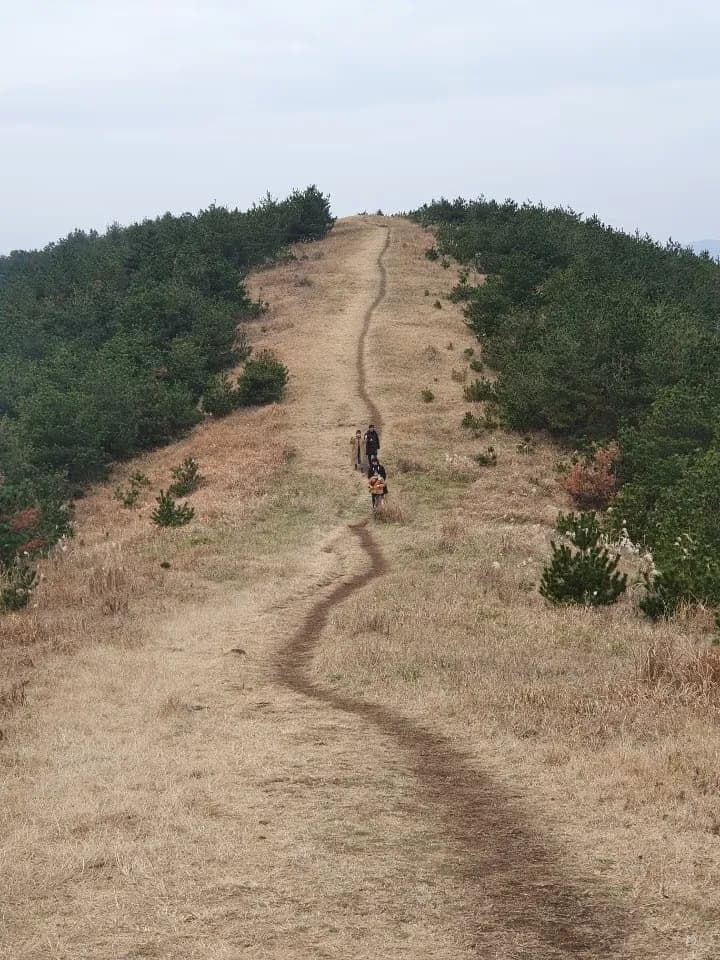 제주도 동쪽 오름 추천-6