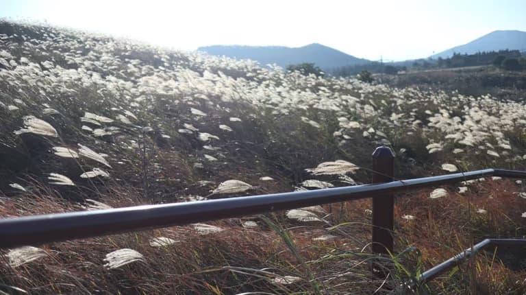 제주도 동쪽 오름 추천-8