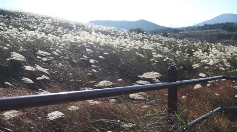 제주도 동쪽 오름 추천-8