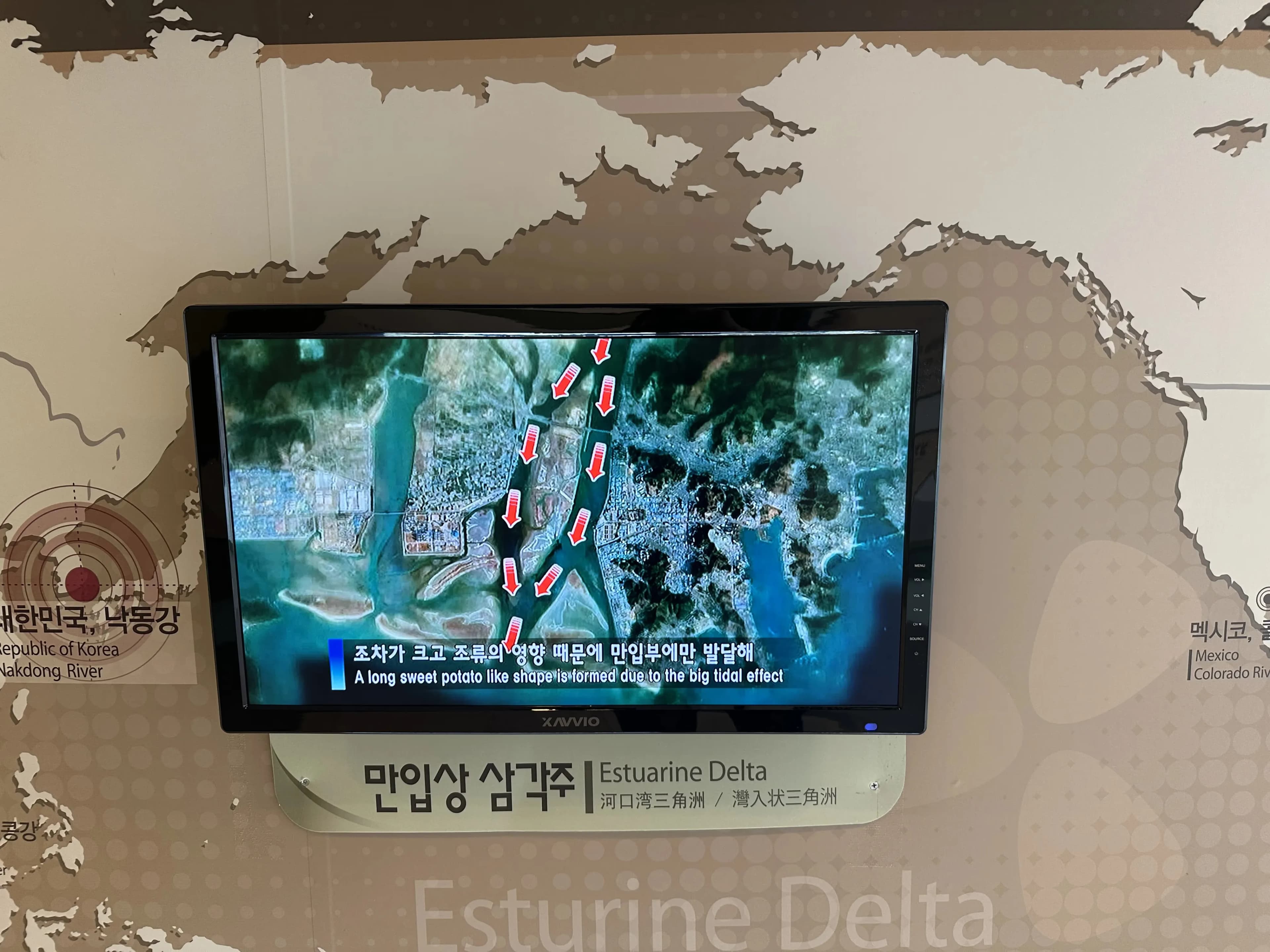 부산 국가 지질공원 아미산 전망대-16