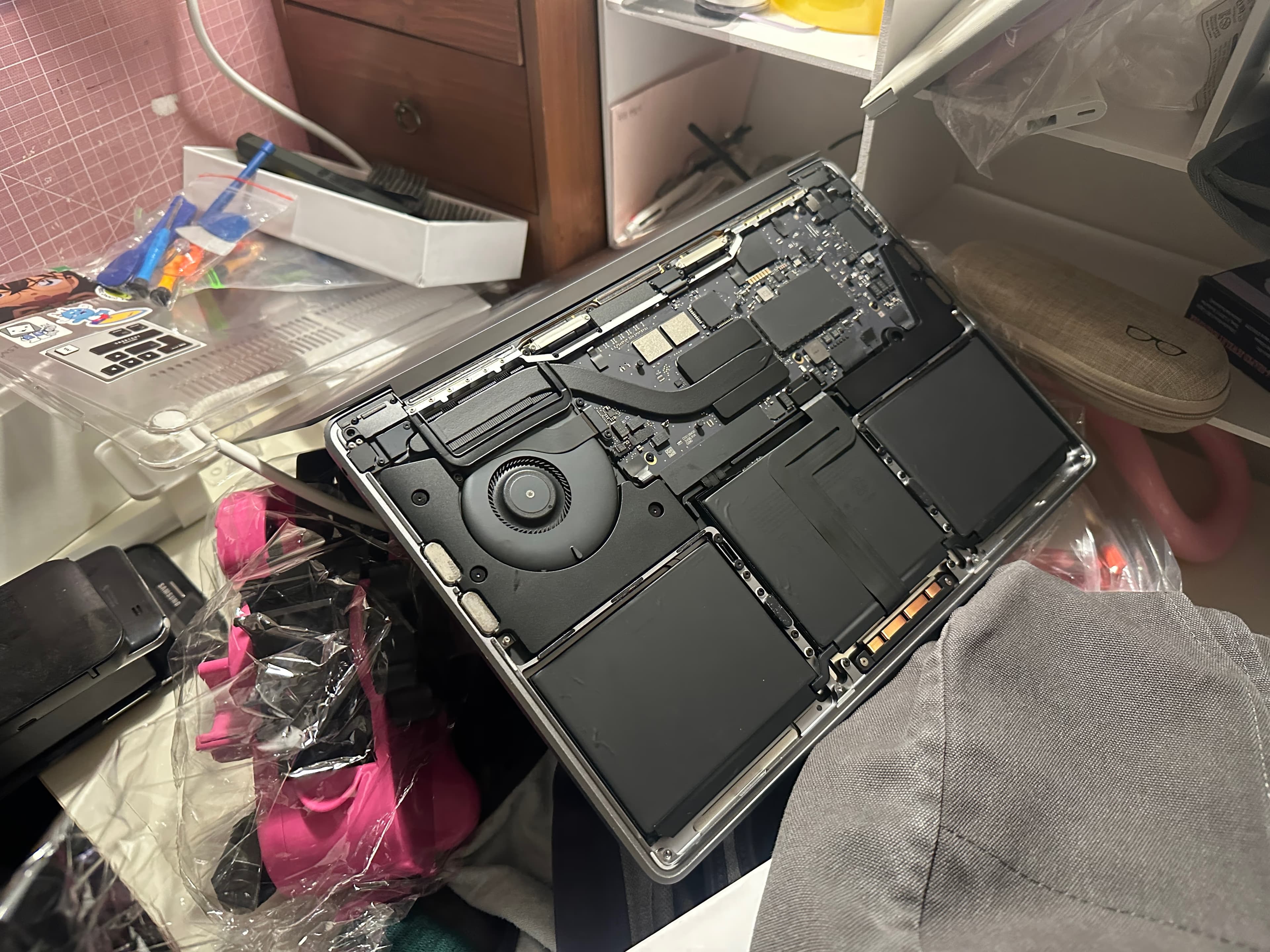 업로드된 이미지