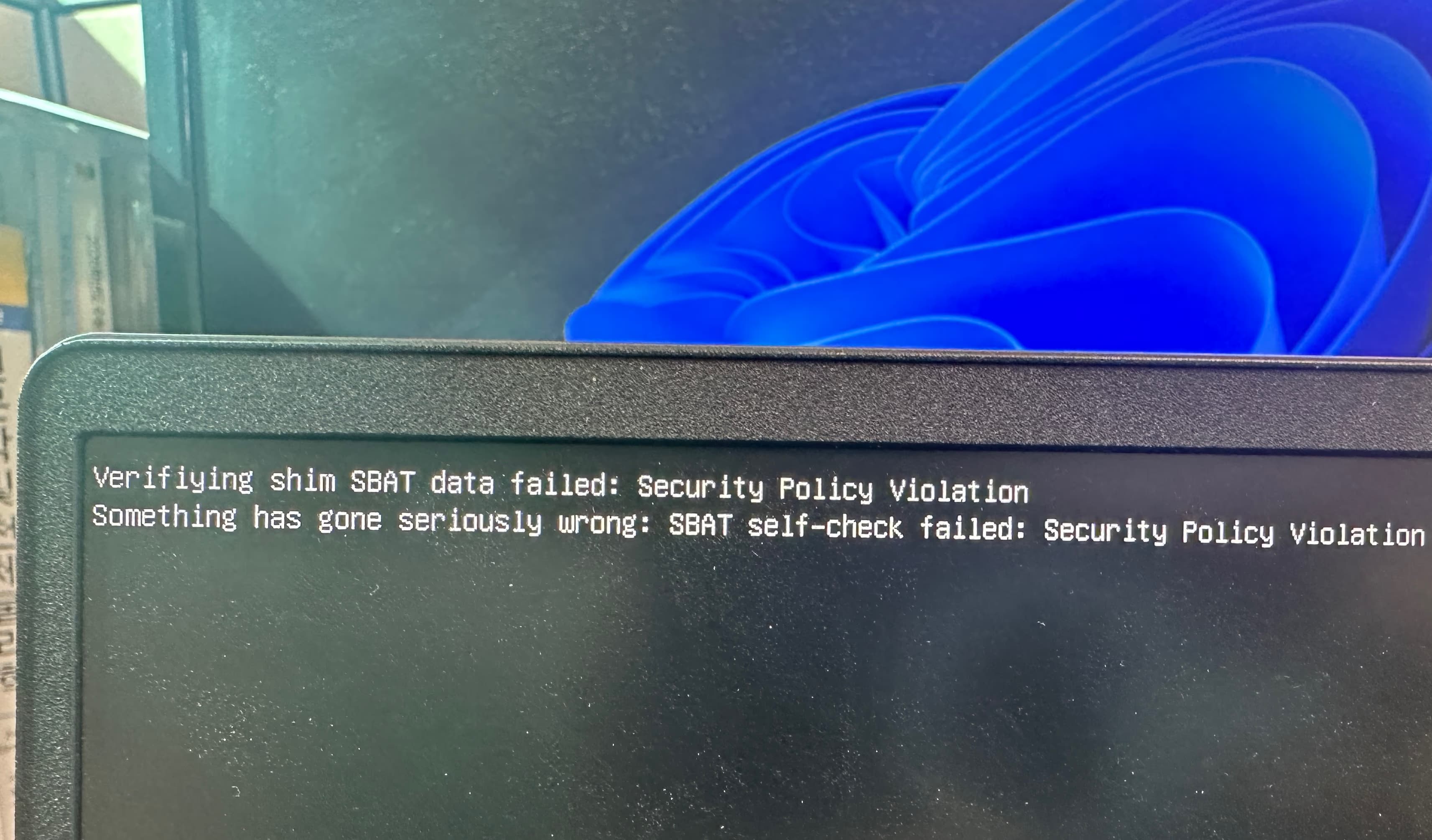 업로드된 이미지