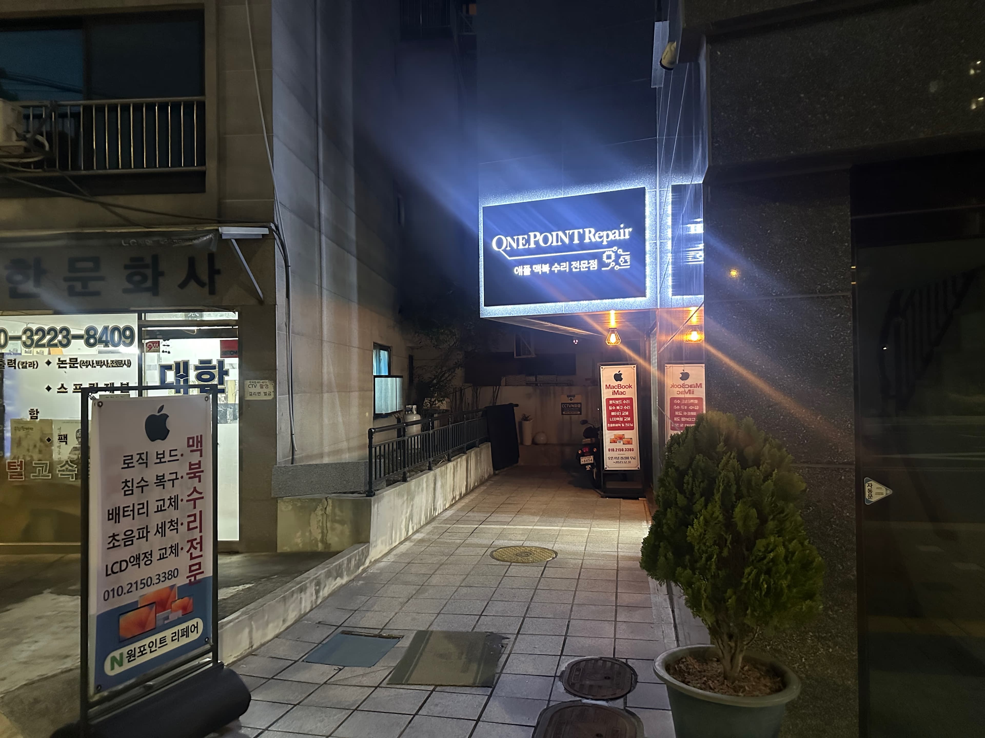 업로드된 이미지