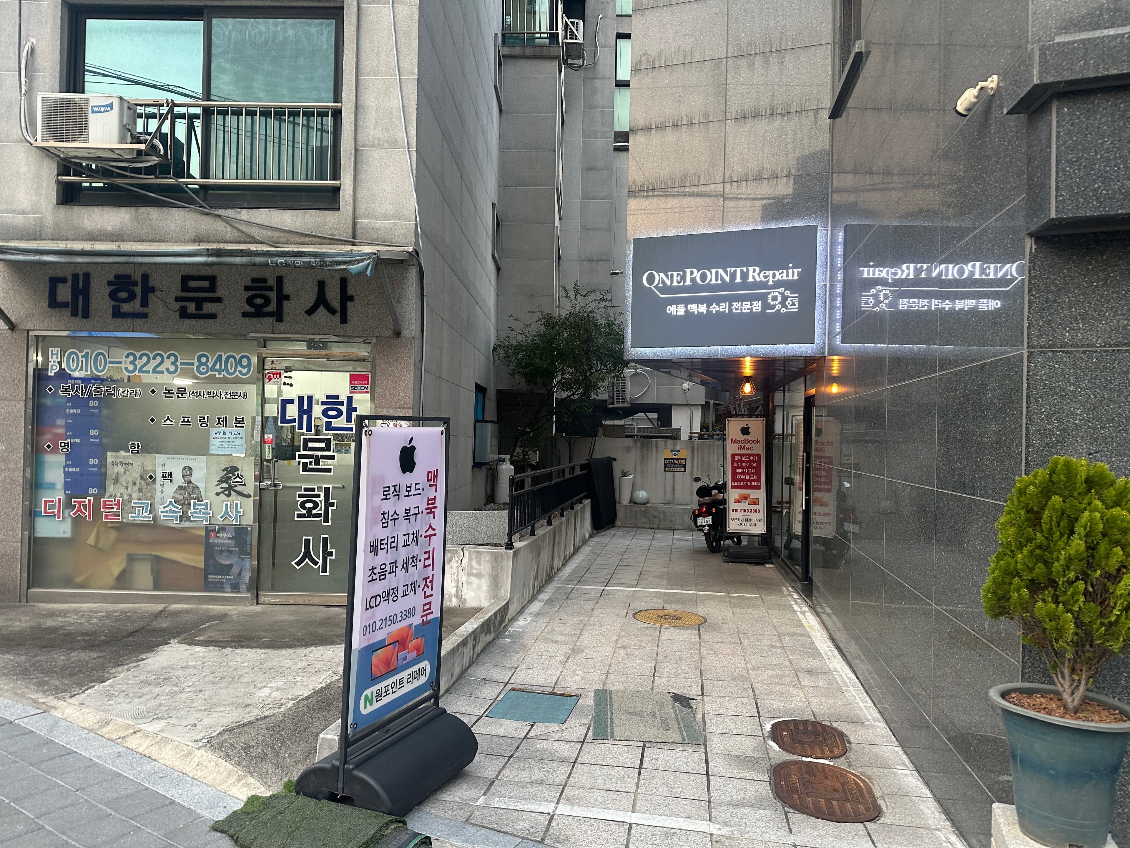 업로드된 이미지