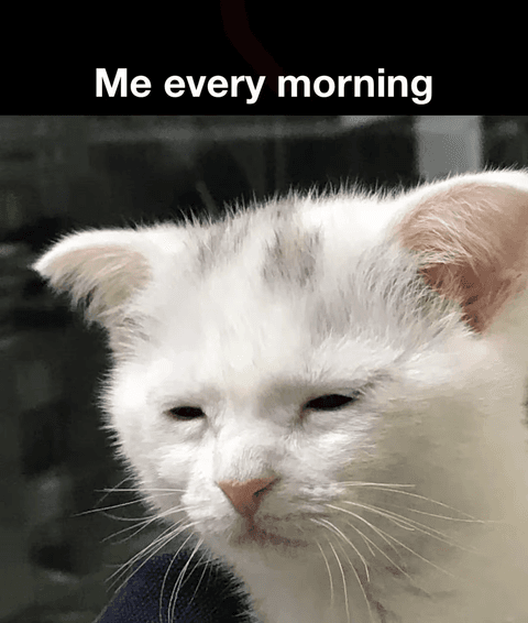 교사를 위한 교육연구 및 통계분석 연수 - 10~12차시 결정계수, 중다회귀분석 등