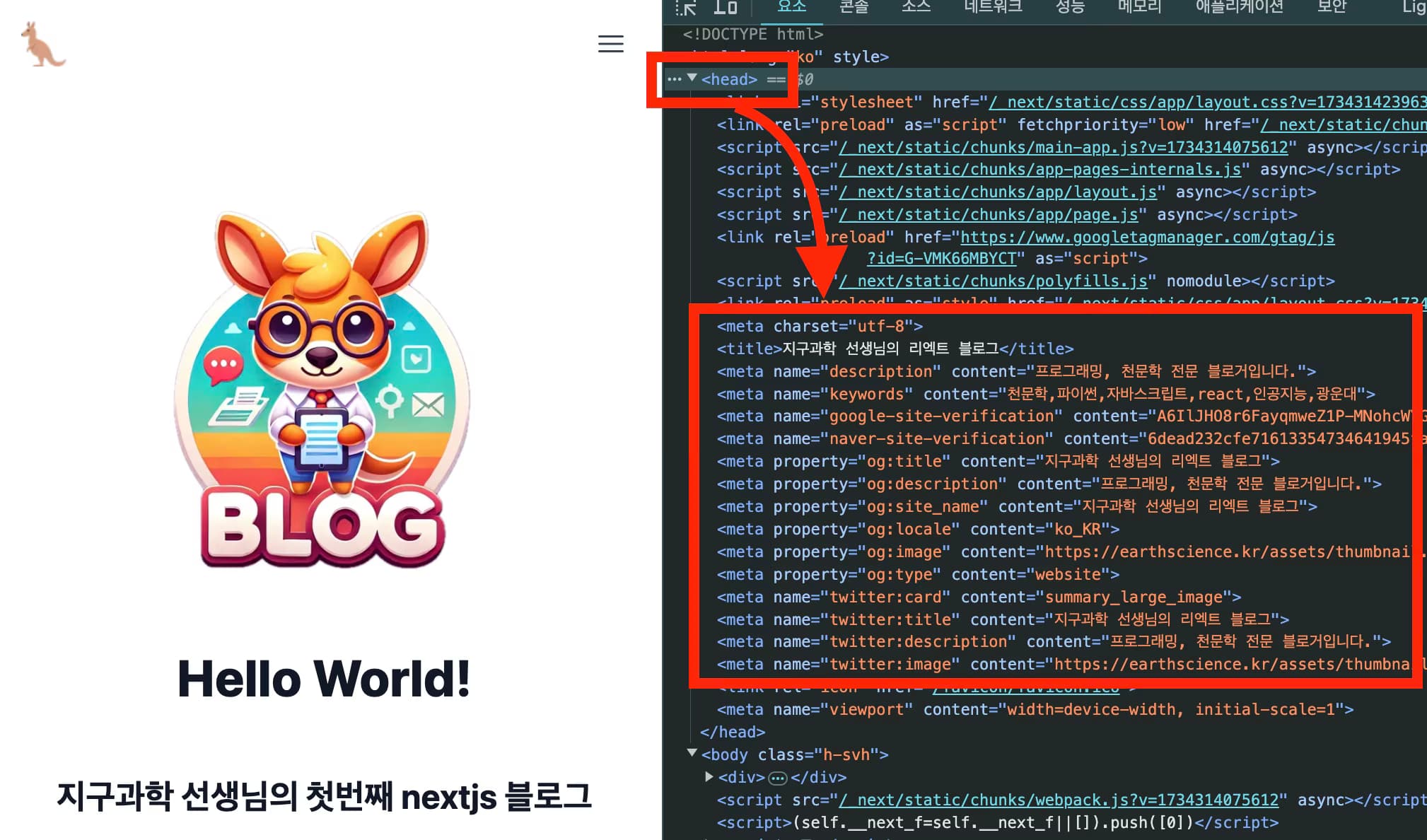 메타디에터