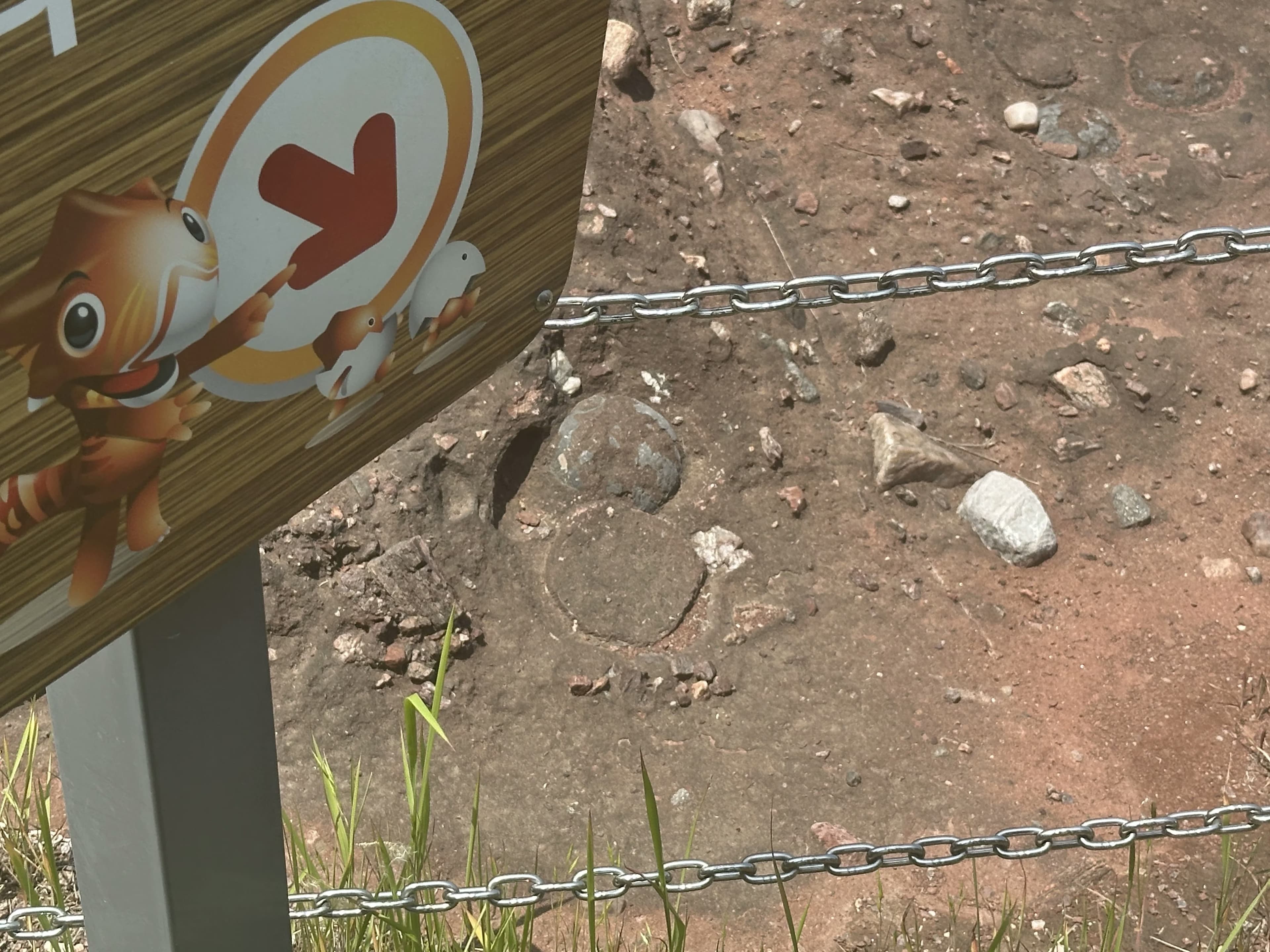 dinoEgg